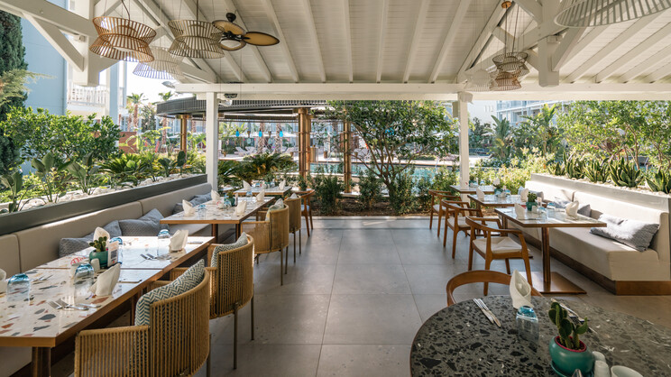 Lara Barut Collection